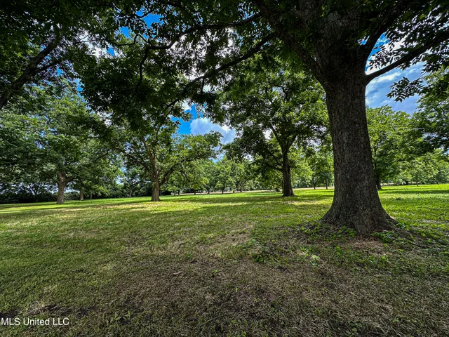 $425,000 | 85 Barrack Road, Yazoo City, MS 39194