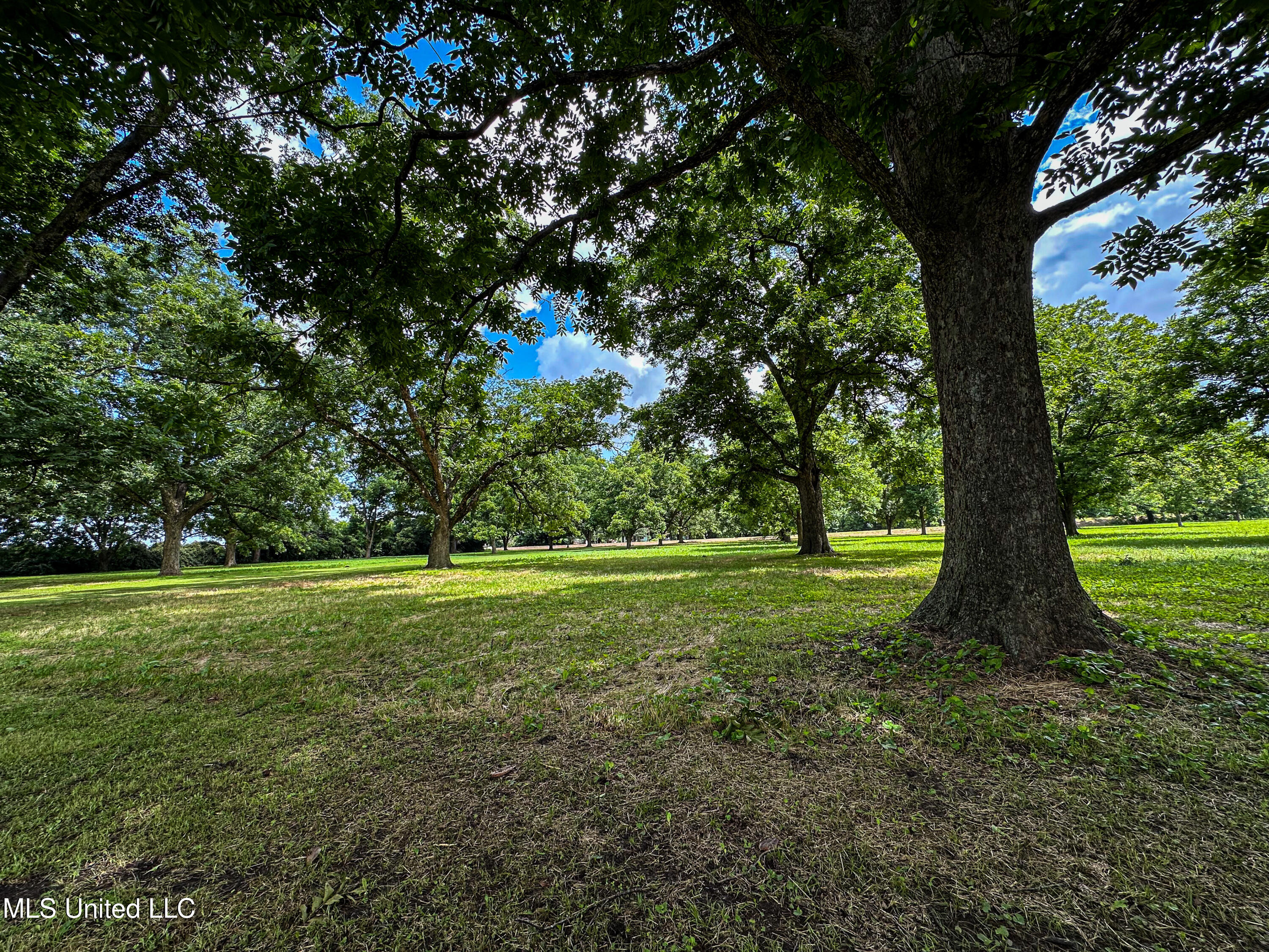 85 Barrack Road Yazoo City, MS 39194 - Photo 29 of 101 IMG_4674