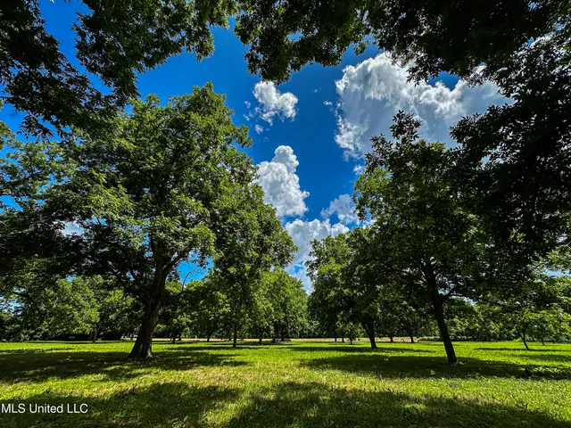 $425,000 | 85 Barrack Road, Yazoo City, MS 39194