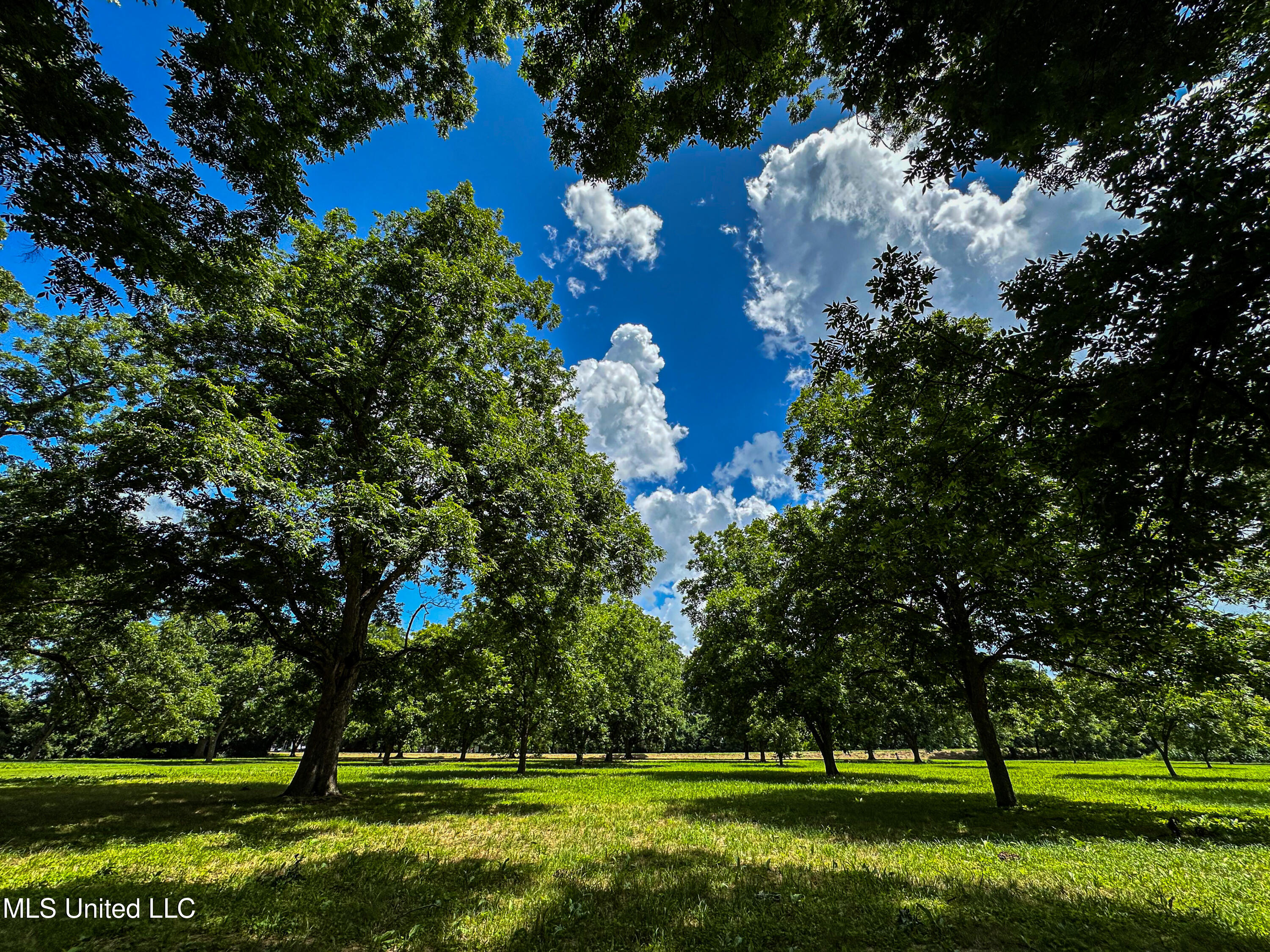 85 Barrack Road Yazoo City, MS 39194 - Photo 31 of 101 IMG_4677