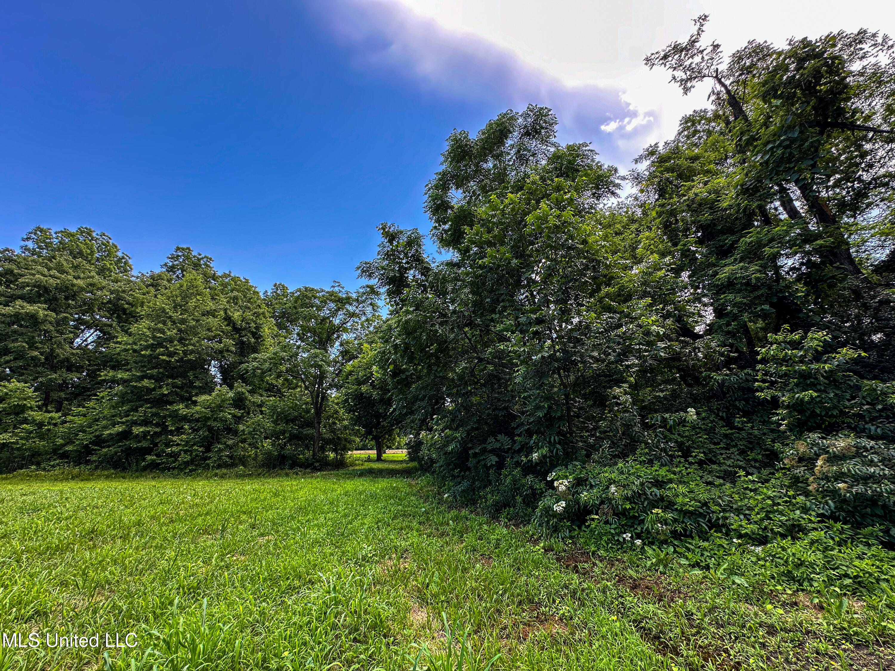 85 Barrack Road Yazoo City, MS 39194 - Photo 35 of 101 IMG_4681