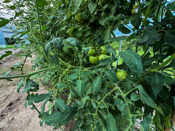 $425,000 | 85 Barrack Road, Yazoo City, MS 39194