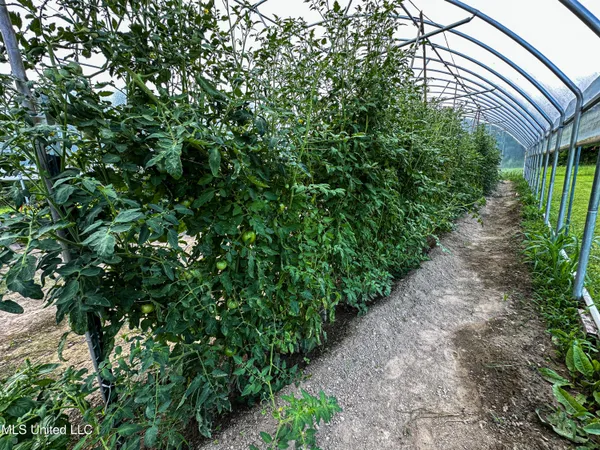 $425,000 | 85 Barrack Road, Yazoo City, MS 39194