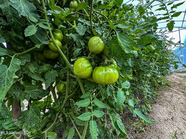 $425,000 | 85 Barrack Road, Yazoo City, MS 39194