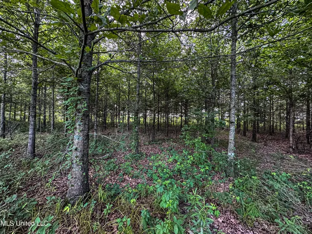 $425,000 | 85 Barrack Road, Yazoo City, MS 39194