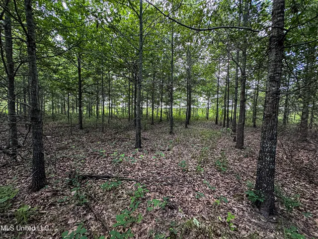 $425,000 | 85 Barrack Road, Yazoo City, MS 39194