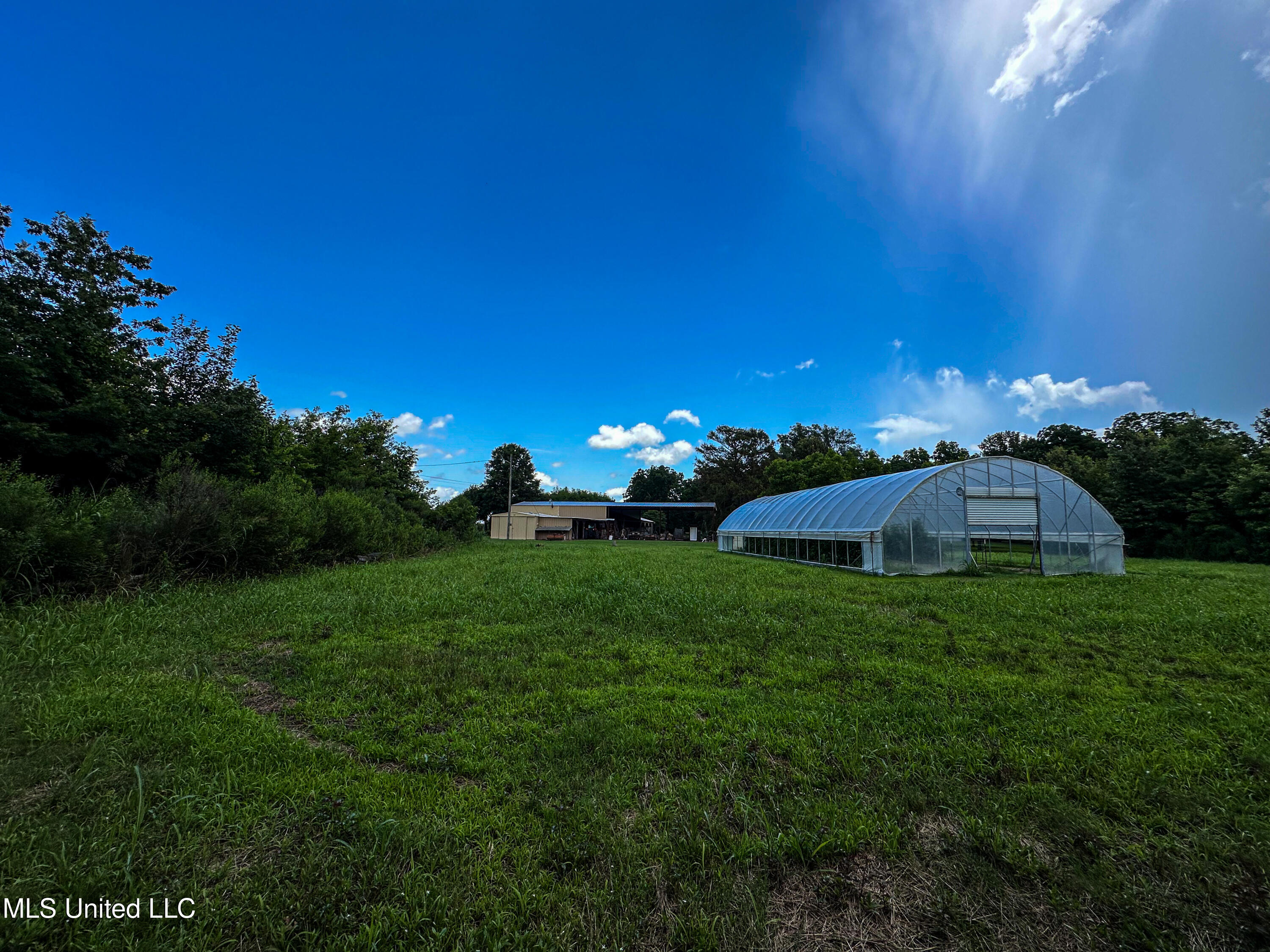 85 Barrack Road Yazoo City, MS 39194 - Photo 43 of 101 IMG_4690