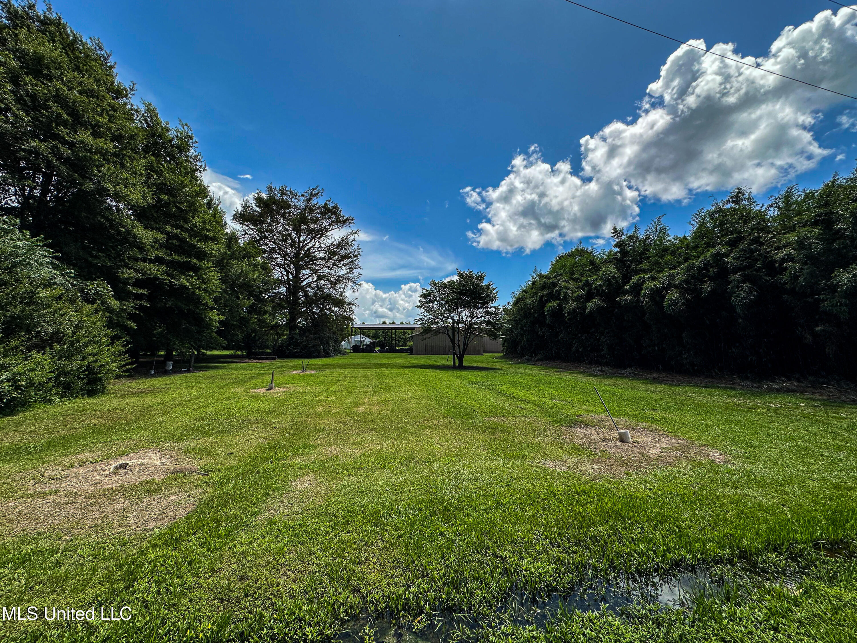 85 Barrack Road Yazoo City, MS 39194 - Photo 54 of 101 IMG_4762