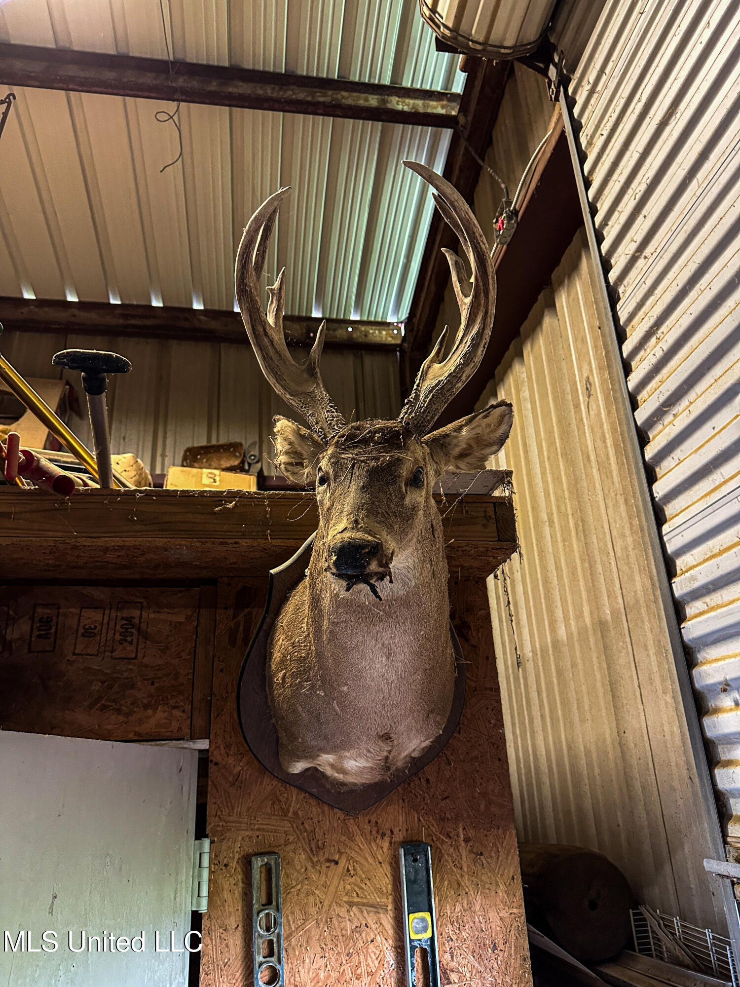 85 Barrack Road Yazoo City, MS 39194 - Photo 67 of 101 IMG_4723