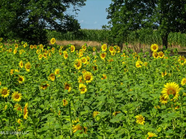 $425,000 | 85 Barrack Road, Yazoo City, MS 39194