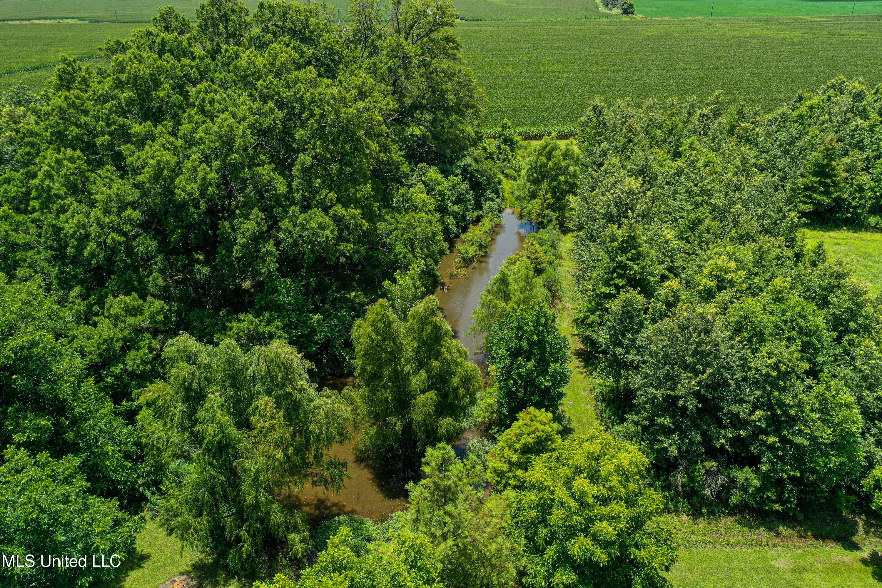 85 Barrack Road Yazoo City, MS 39194 - Photo 10 of 101 DJI_0273