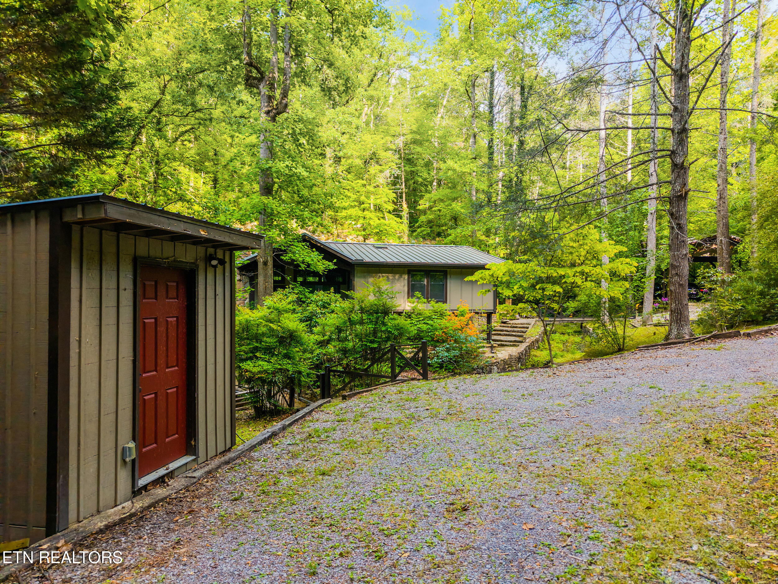 259 Black Mash Hollow Road Townsend, TN 37882 - Photo 14 of 42 IMG_2833