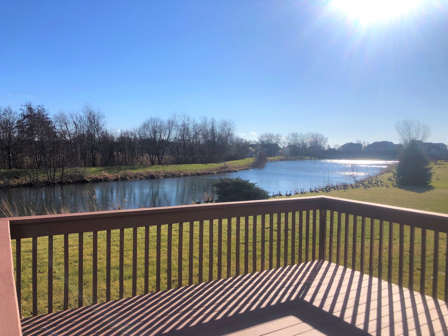 13315 Blakely Drive Plainfield, IL 60585 - Photo 20 of 20 a view of a lake from a balcony