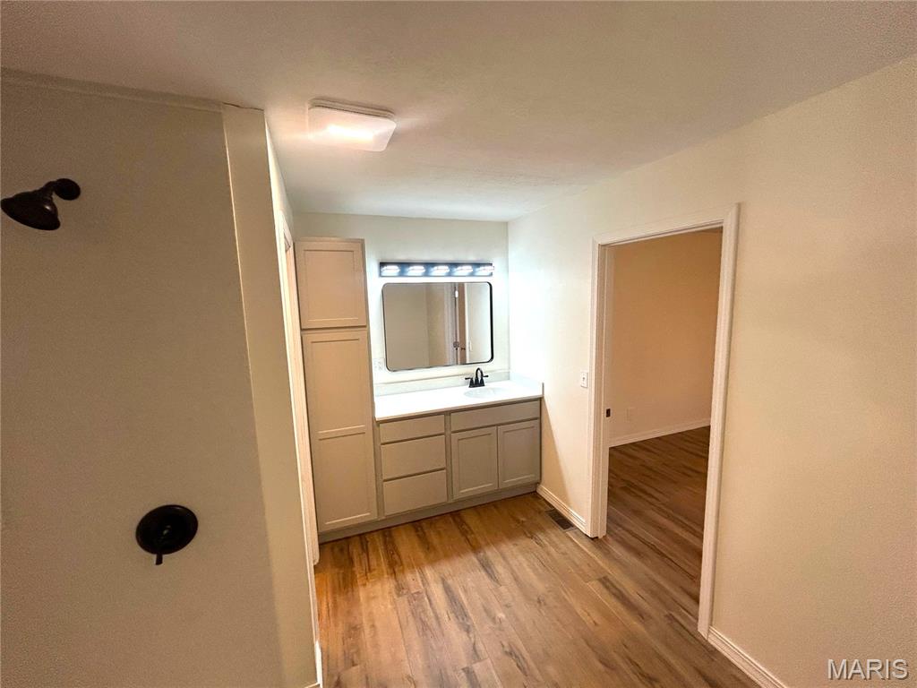 1121 Brooklane Drive Carrollton, IL 62016 - Photo 19 of 29