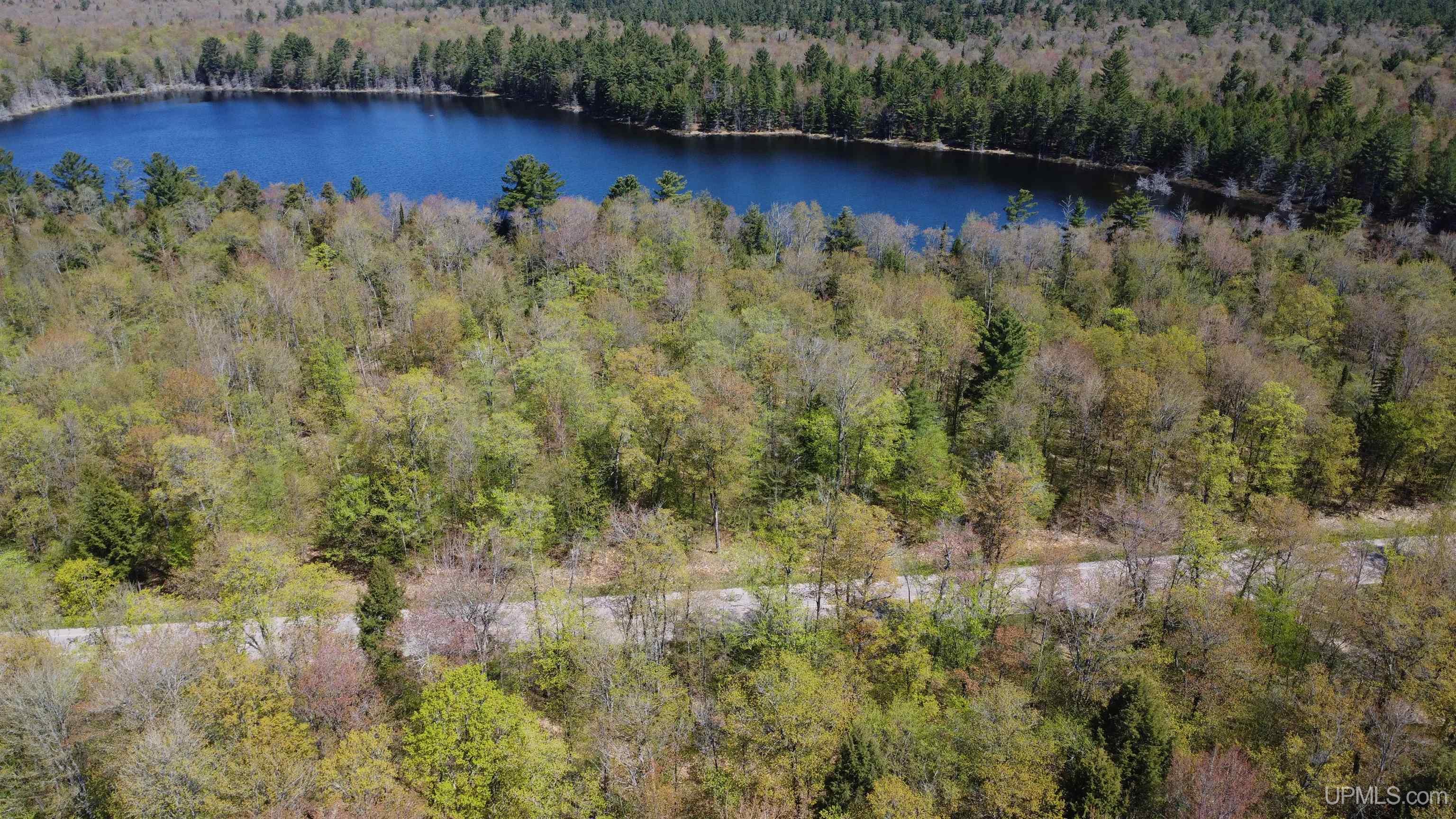 Off Adams Trail Shingleton, MI 49884 - Photo 31 of 46