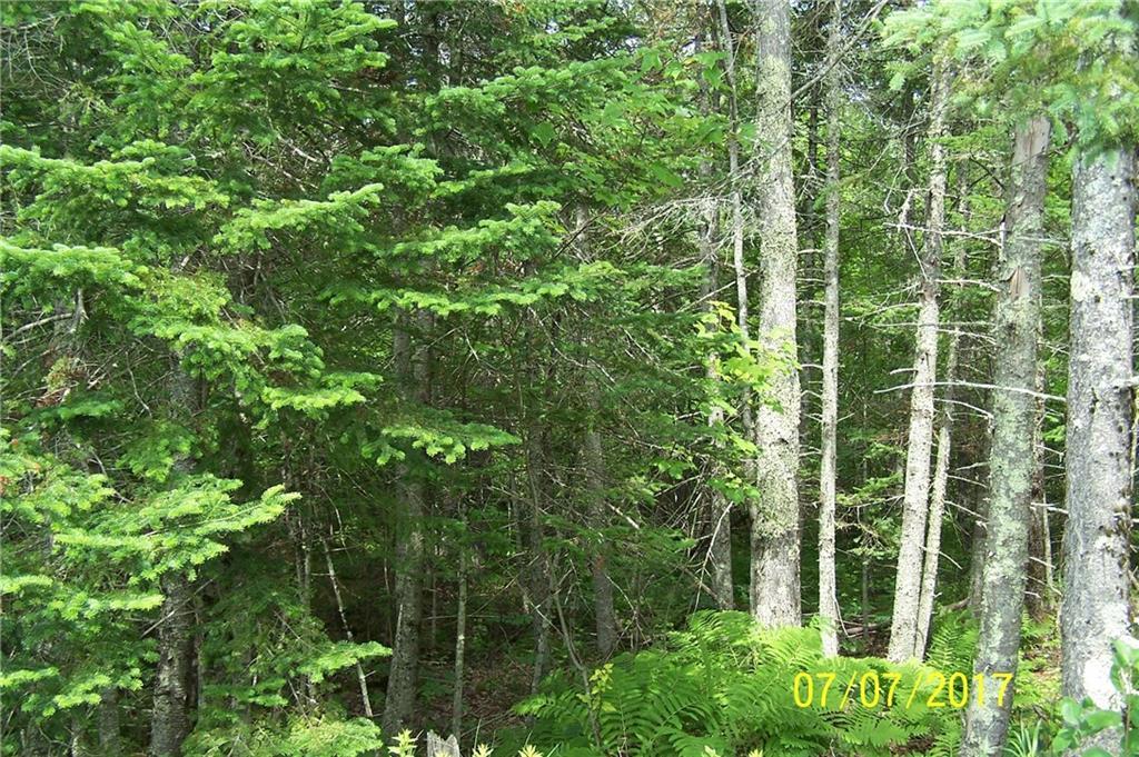 Tba Hudson Hill Road Hudson, ME 04449 - Photo 7 of 8 Photo