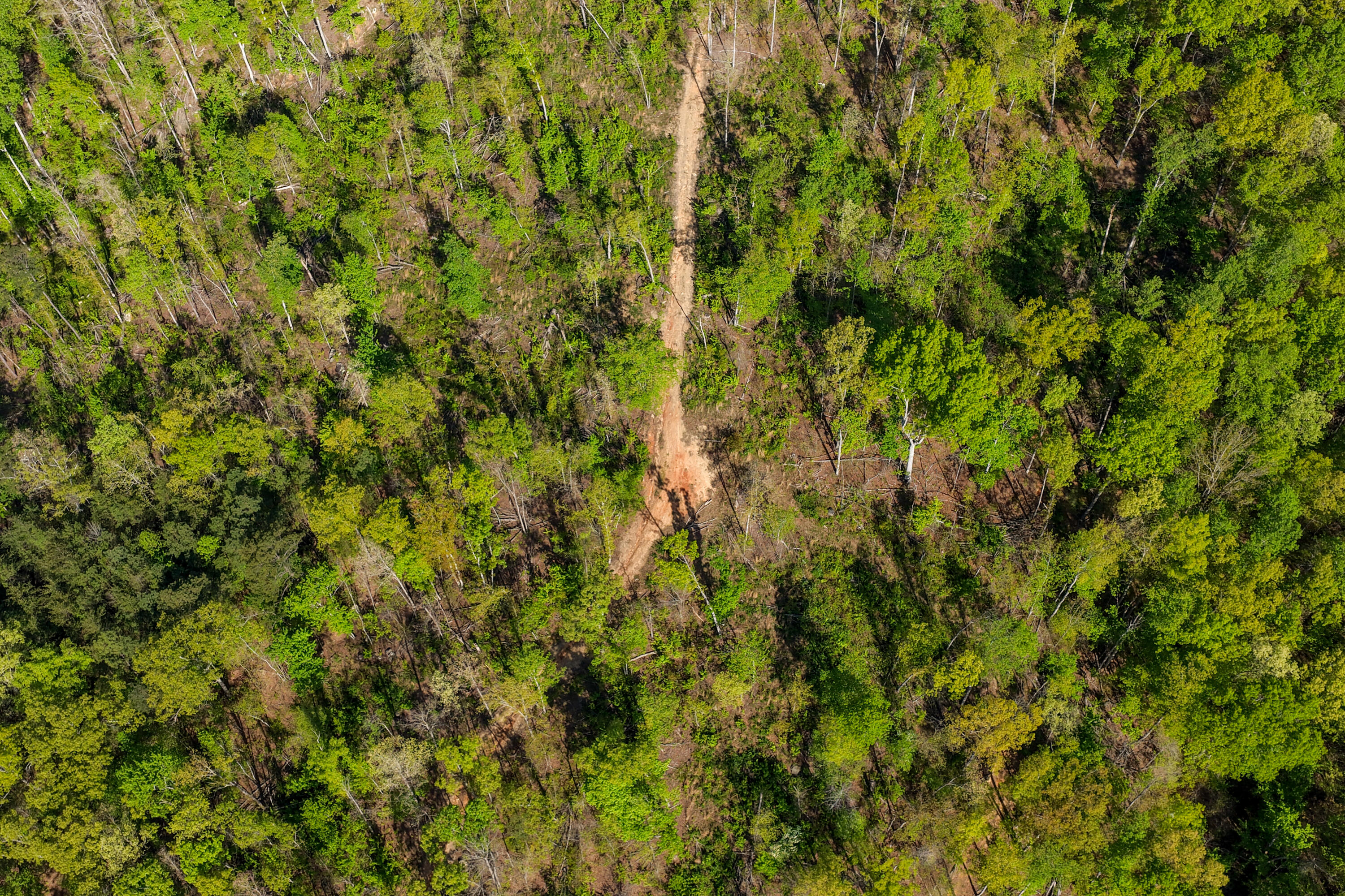0 Valley View Highway Whitwell, TN 37397 - Photo 17 of 26 ValleyView-15