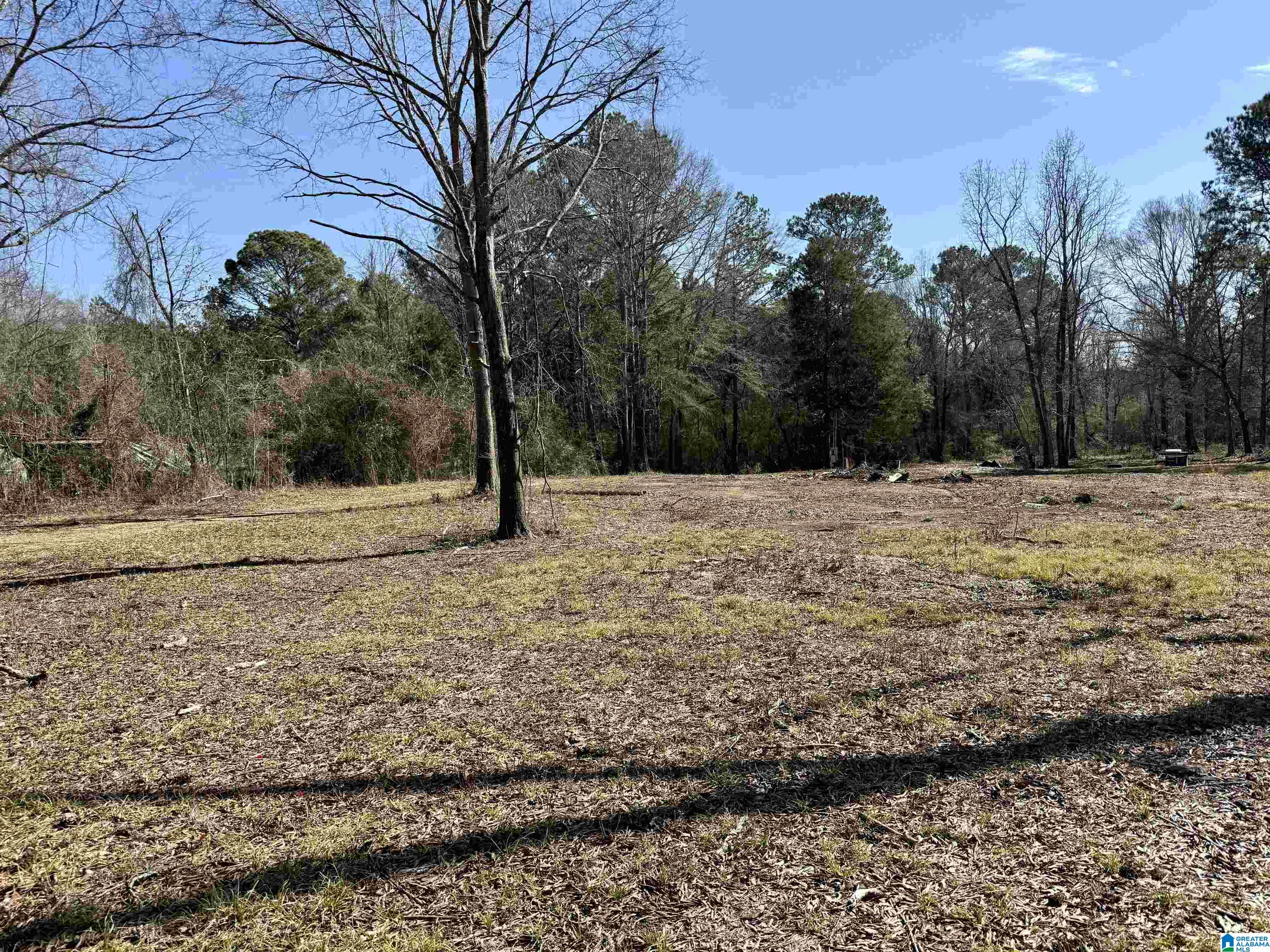 2161 Odens Mill Road Sylacauga, AL 35151 - Photo 13 of 17 Gallery Image 13