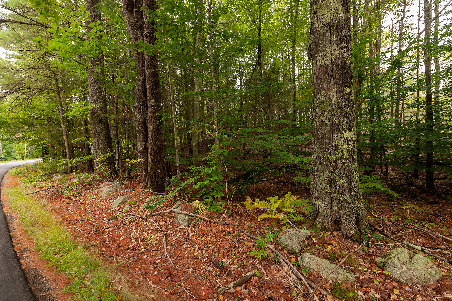 54 Logging Road York, ME 03902 - Photo 2 of 9 _DSC2266-Edit