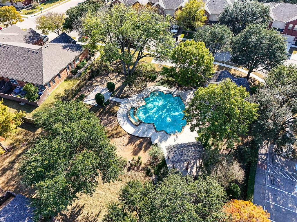 3404 Belladonna Drive Plano, TX 75093 - Photo 22 of 24 a picture of tree