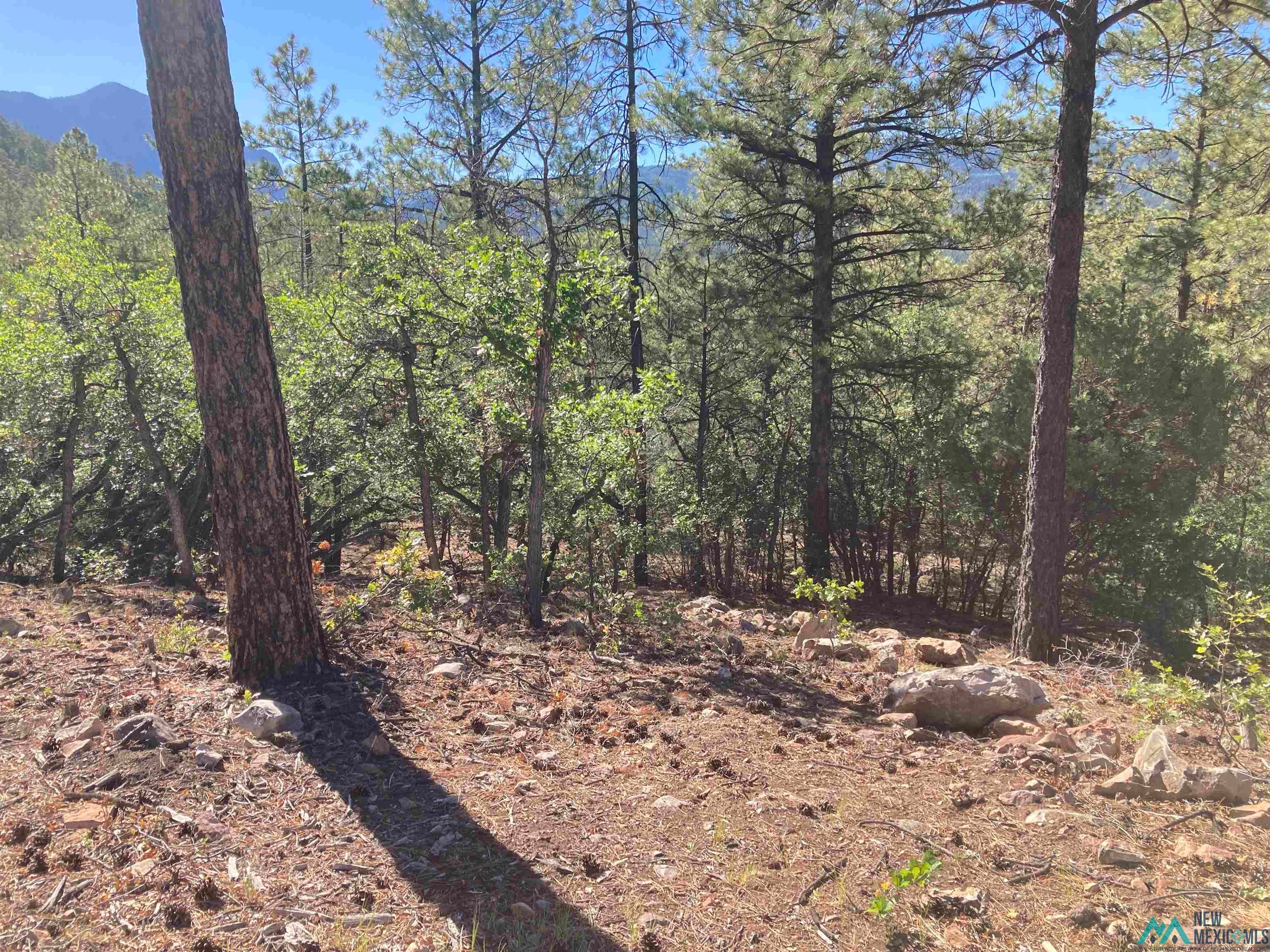 69 The Road Chama, NM 87520 - Photo 14 of 25 Gallery Image 14