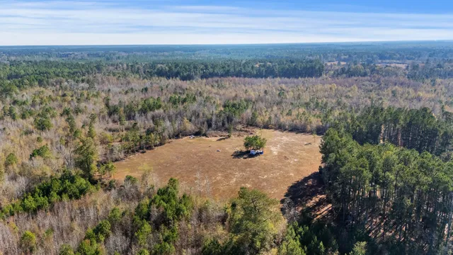 $199,900 | 1 Primus Drive, St. George, SC 29477