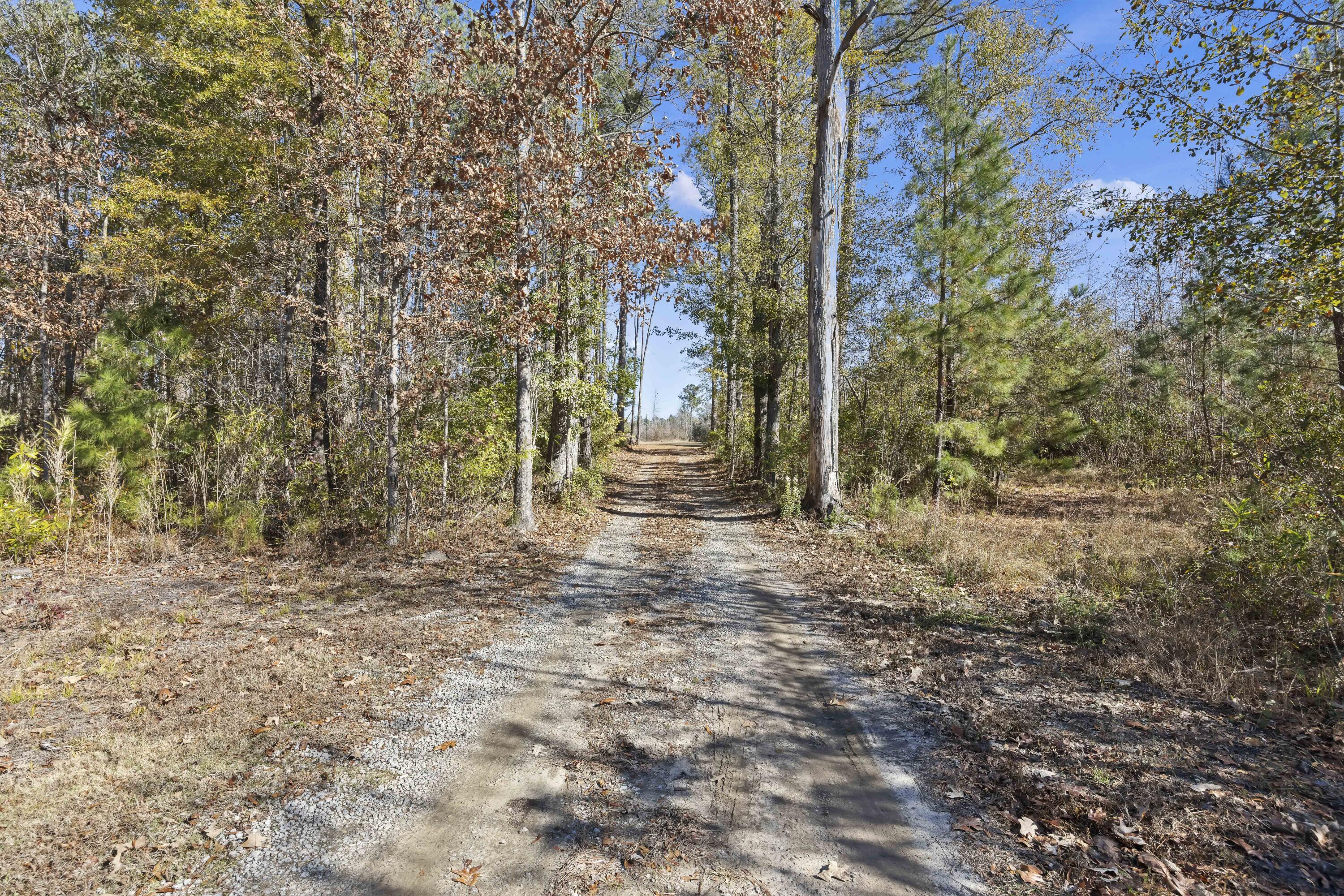 1 Primus Drive St. George, SC 29477 - Photo 19 of 20 243A9768