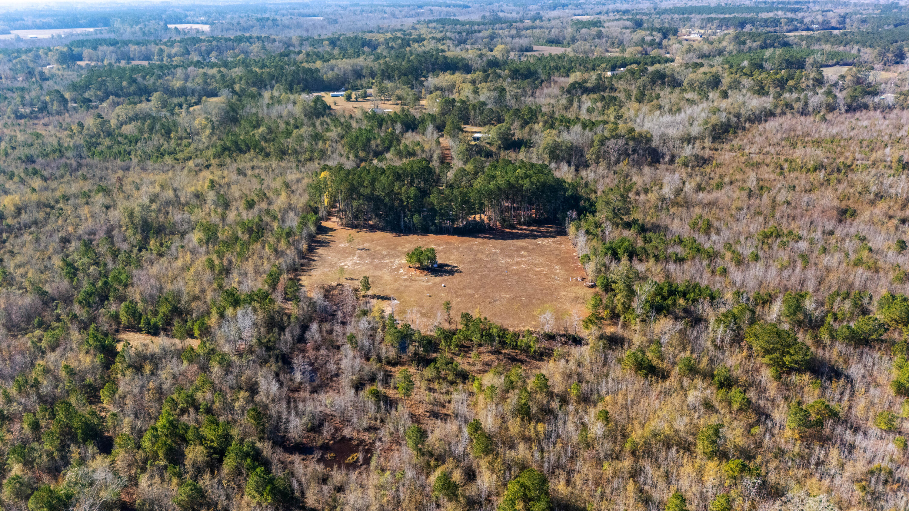 1 Primus Drive St. George, SC 29477 - Photo 3 of 20 DJI_20251210122443_0619_D