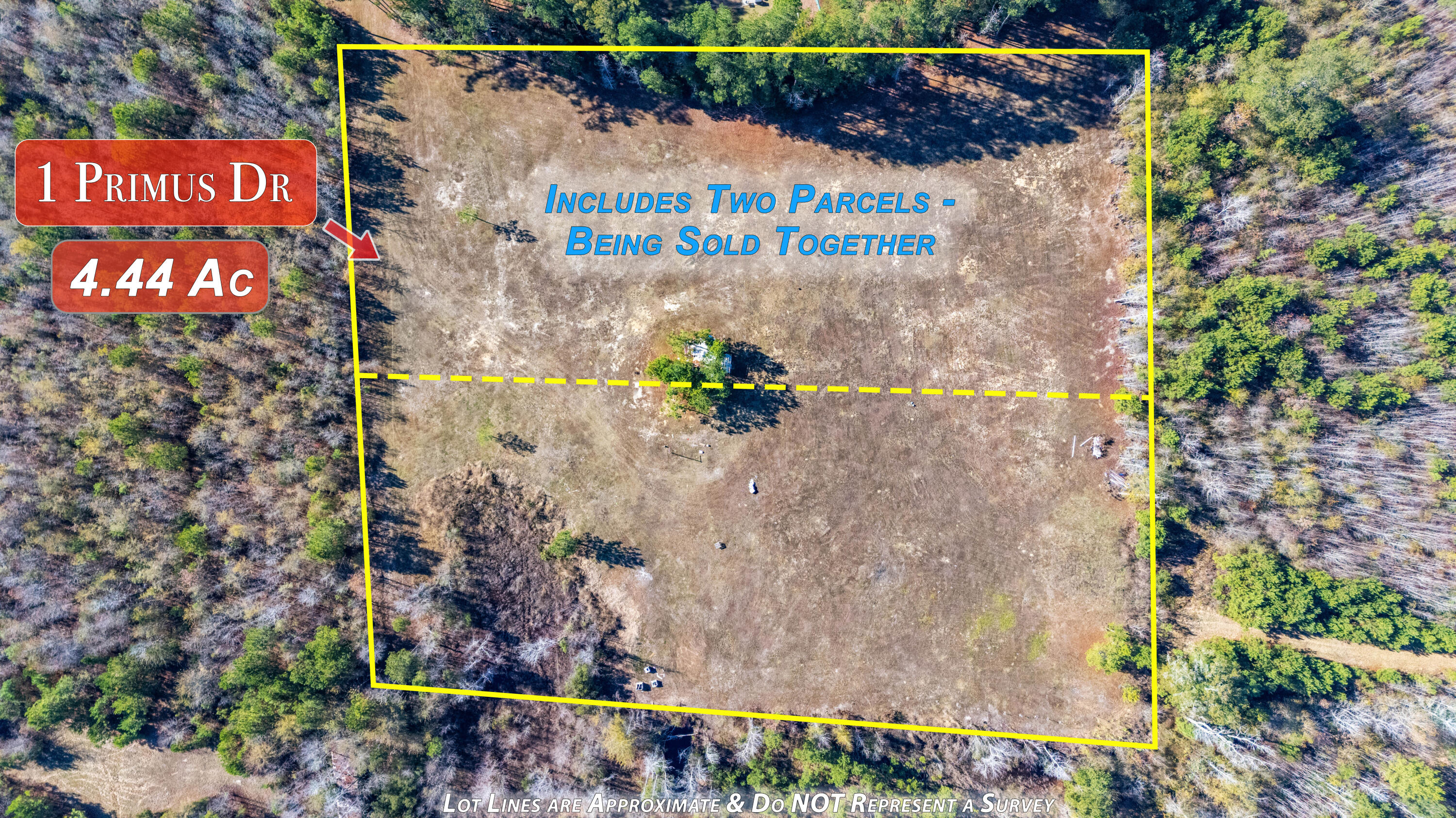 1 Primus Drive St. George, SC 29477 - Photo 4 of 20 2p