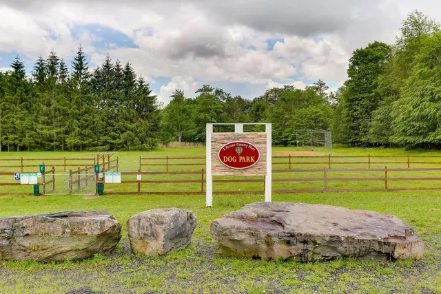 a view of a back yard with a wooden fence