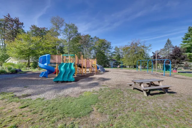 a view of a park with large trees