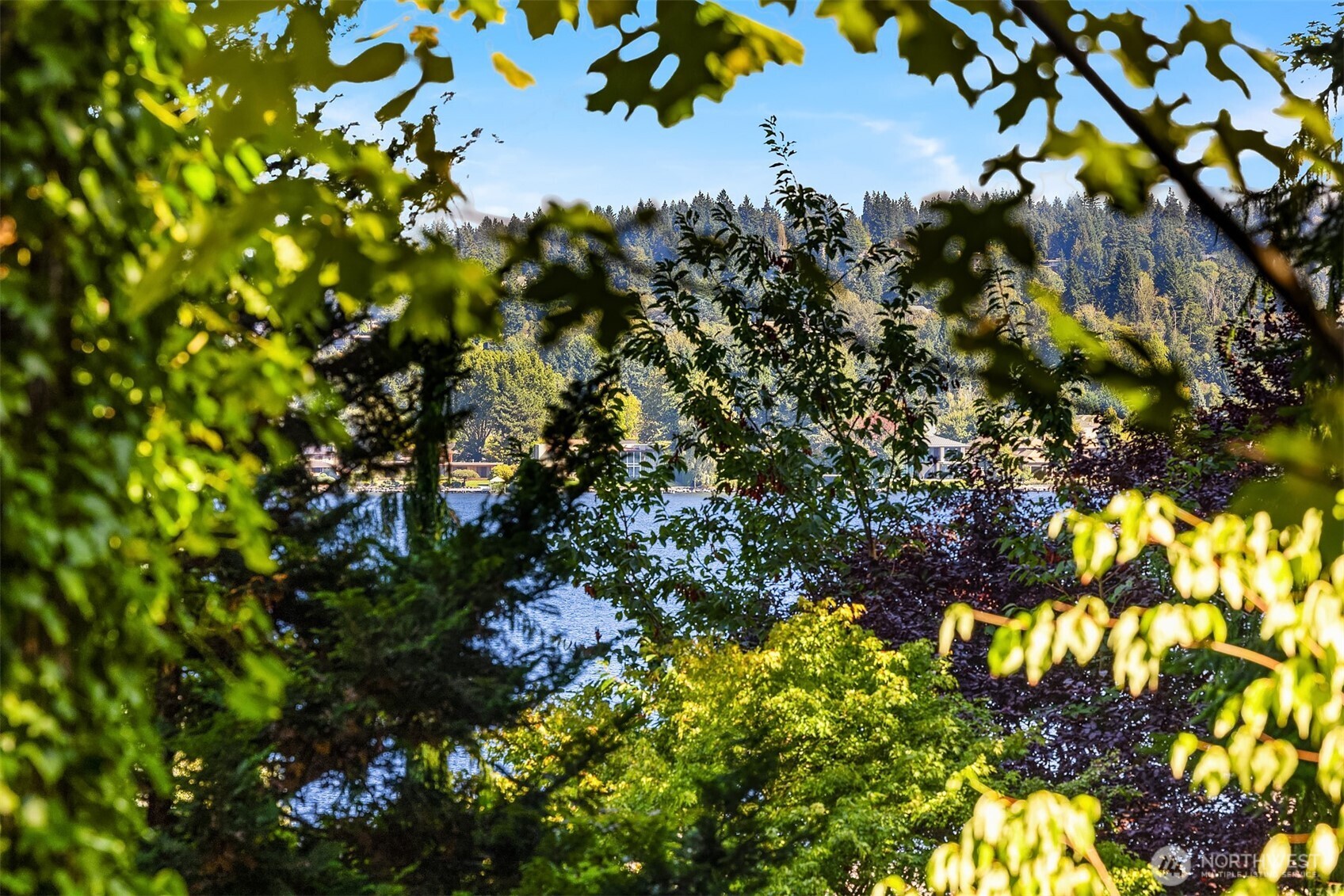 44-xx Ferncroft Road Mercer Island, WA 98040 - Photo 8 of 11