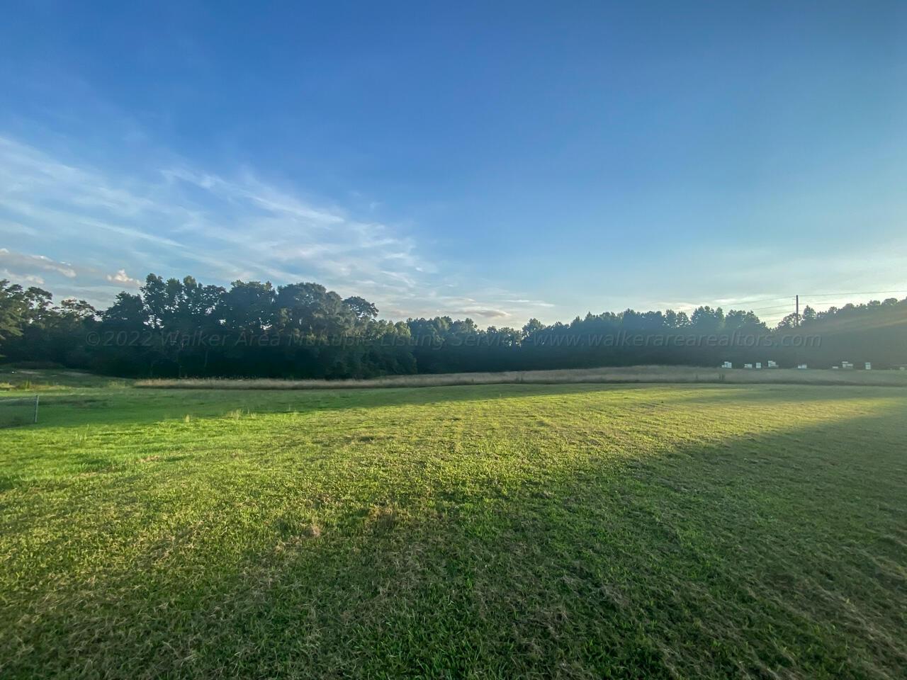 1425 Sandcut Road Nauvoo, AL 35578 - Photo 5 of 19 Gallery Image 5