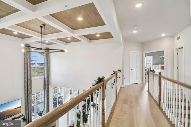 a view of a big yard with plants and large trees