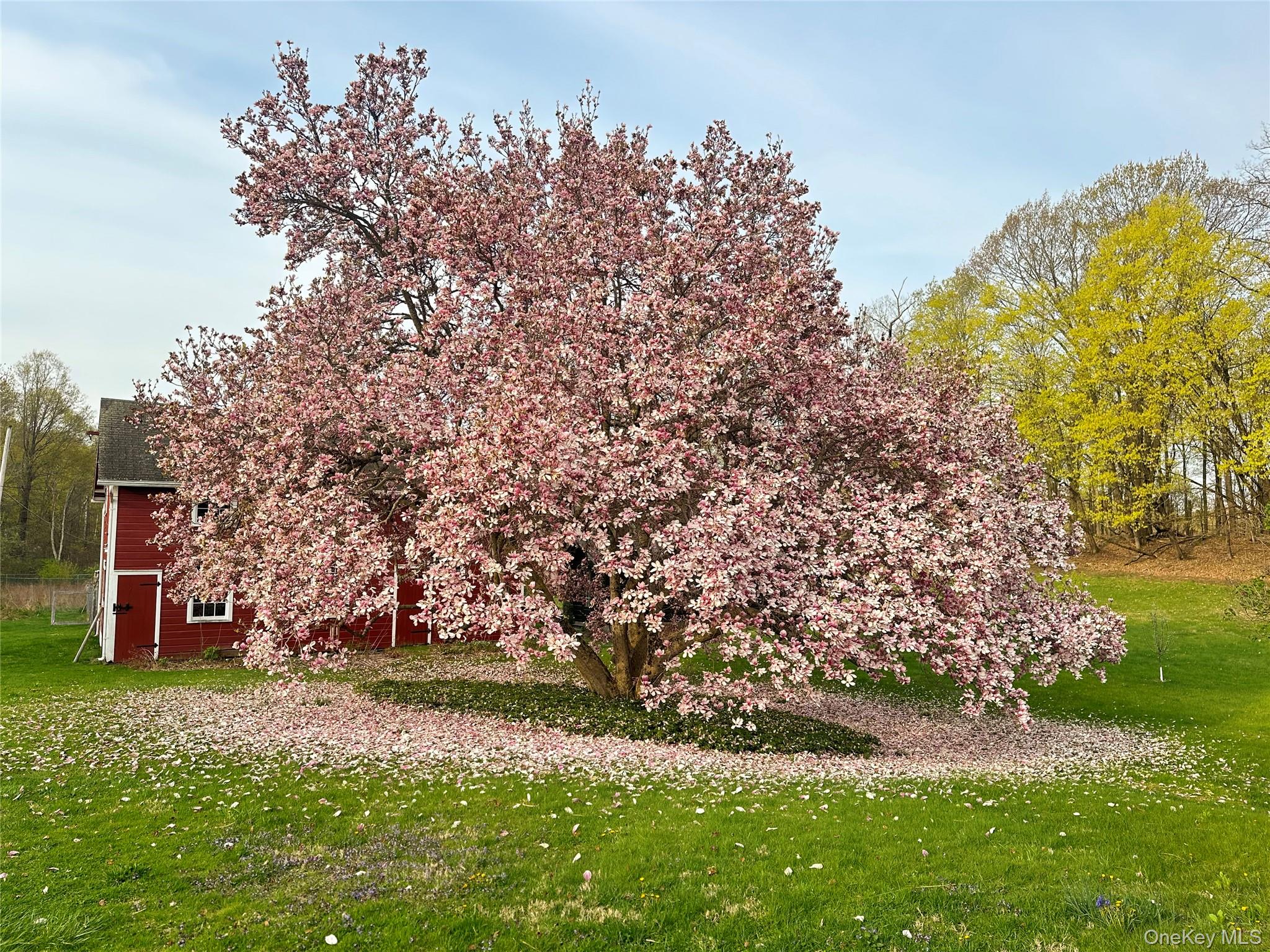 77 Upper Hook Road Rhinebeck, NY 12572 - Photo 42 of 48 a view of a yard with a tree