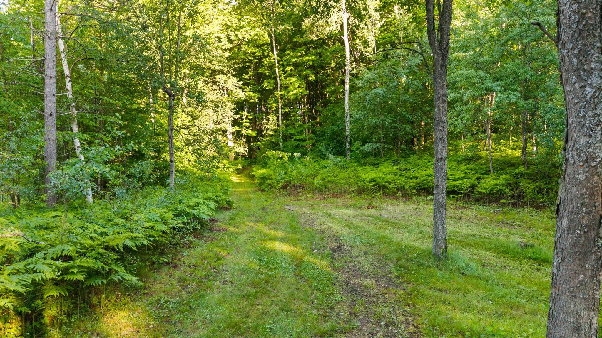 5500 Ryckman Road Southwest South Boardman, MI 49680 - Photo 66 of 79
