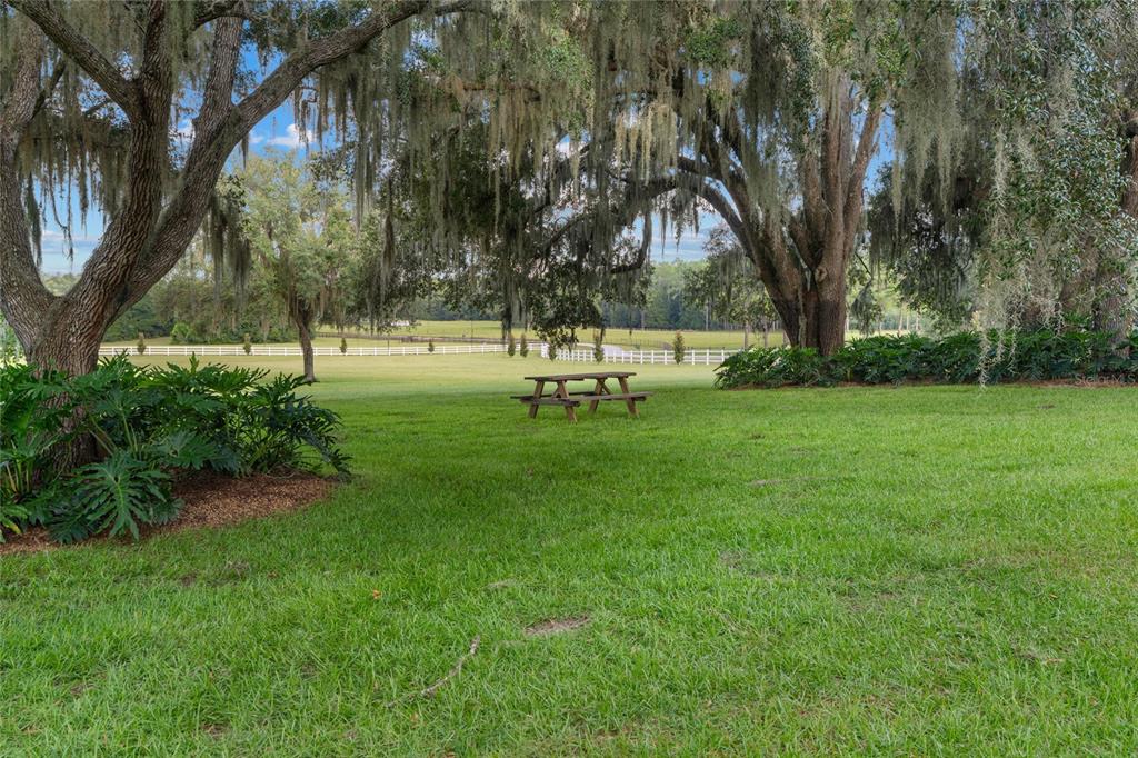 21679 Southwest 106th Lane Road Dunnellon, FL 34431 - Photo 49 of 88 a garden with trees