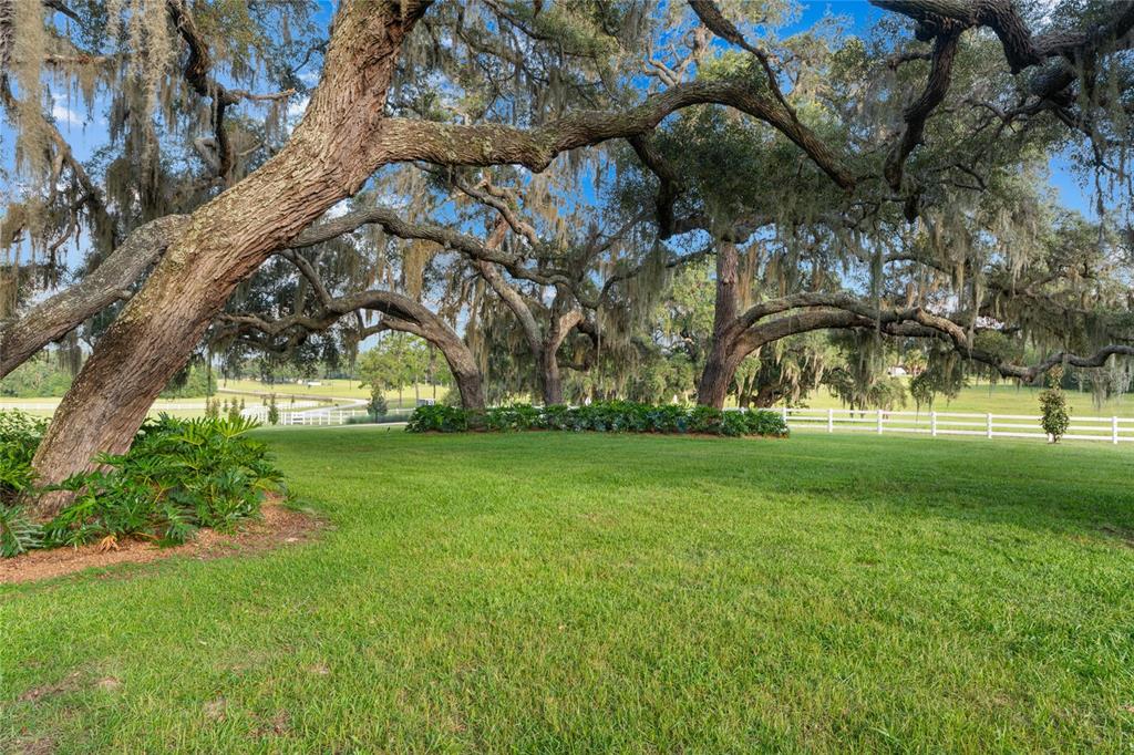 21679 Southwest 106th Lane Road Dunnellon, FL 34431 - Photo 5 of 88