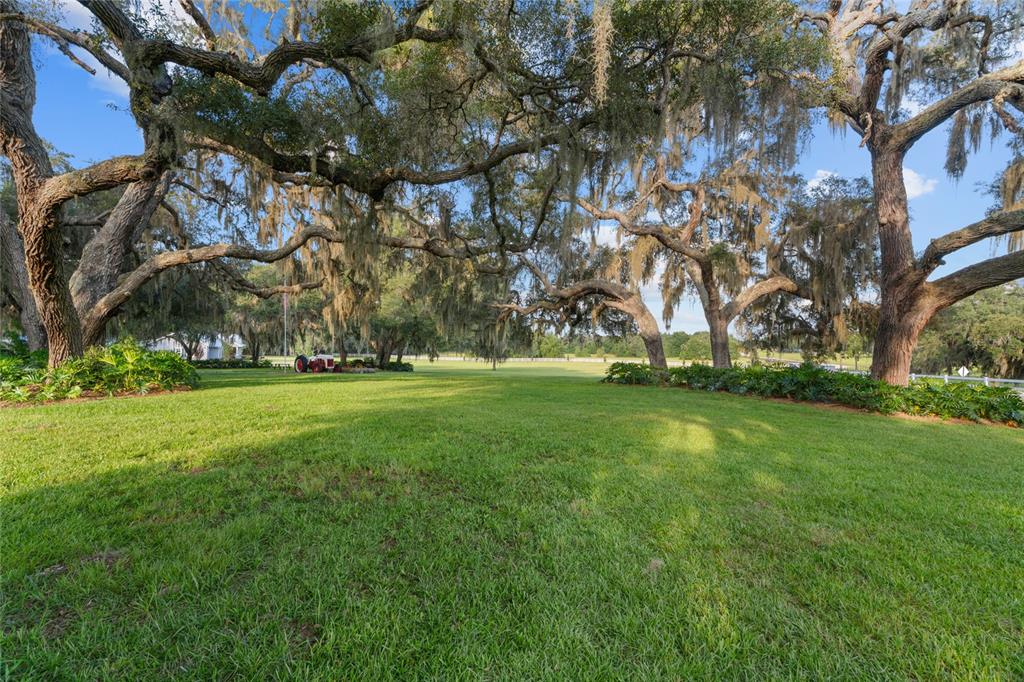 21679 Southwest 106th Lane Road Dunnellon, FL 34431 - Photo 53 of 88