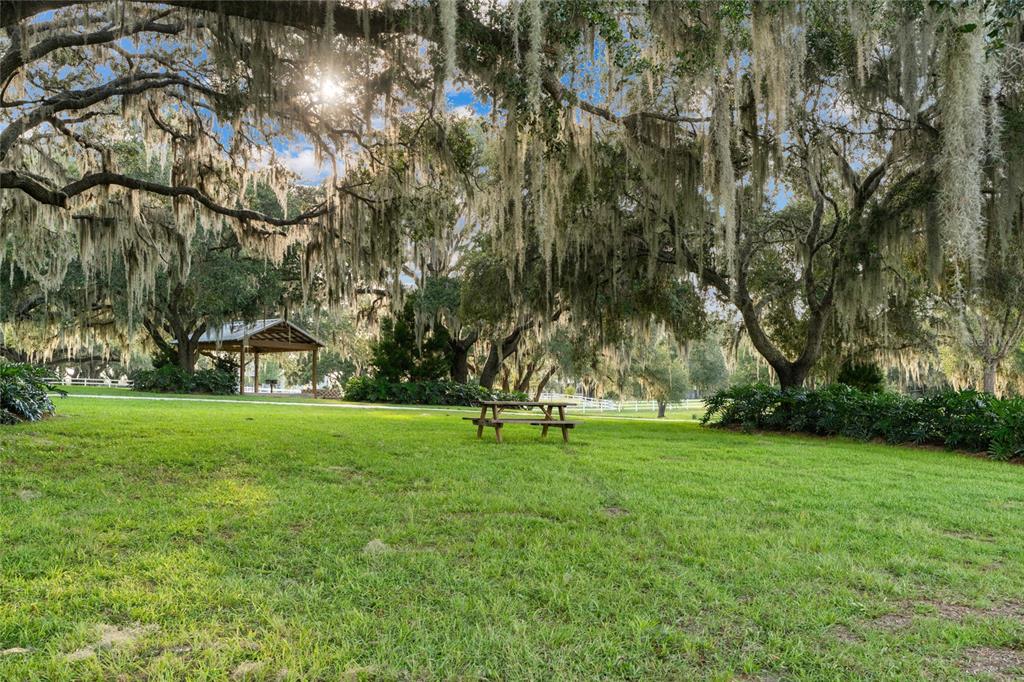 21679 Southwest 106th Lane Road Dunnellon, FL 34431 - Photo 56 of 88