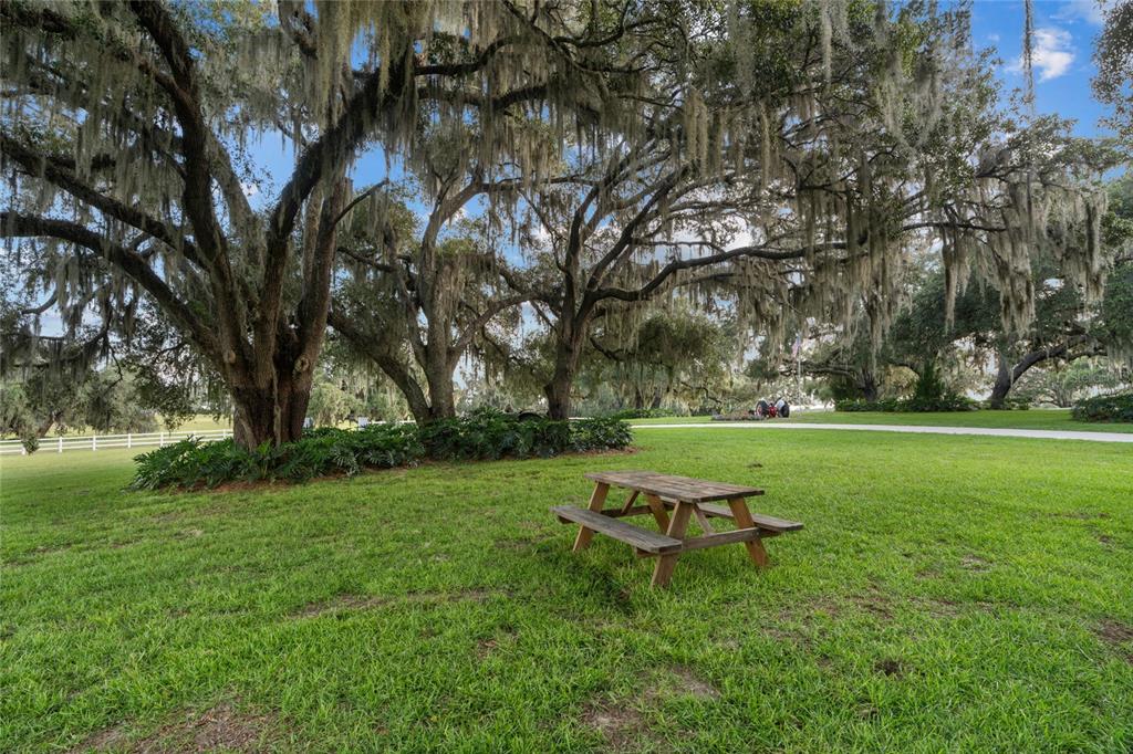 21679 Southwest 106th Lane Road Dunnellon, FL 34431 - Photo 58 of 88 a park bench sitting in the middle of a park