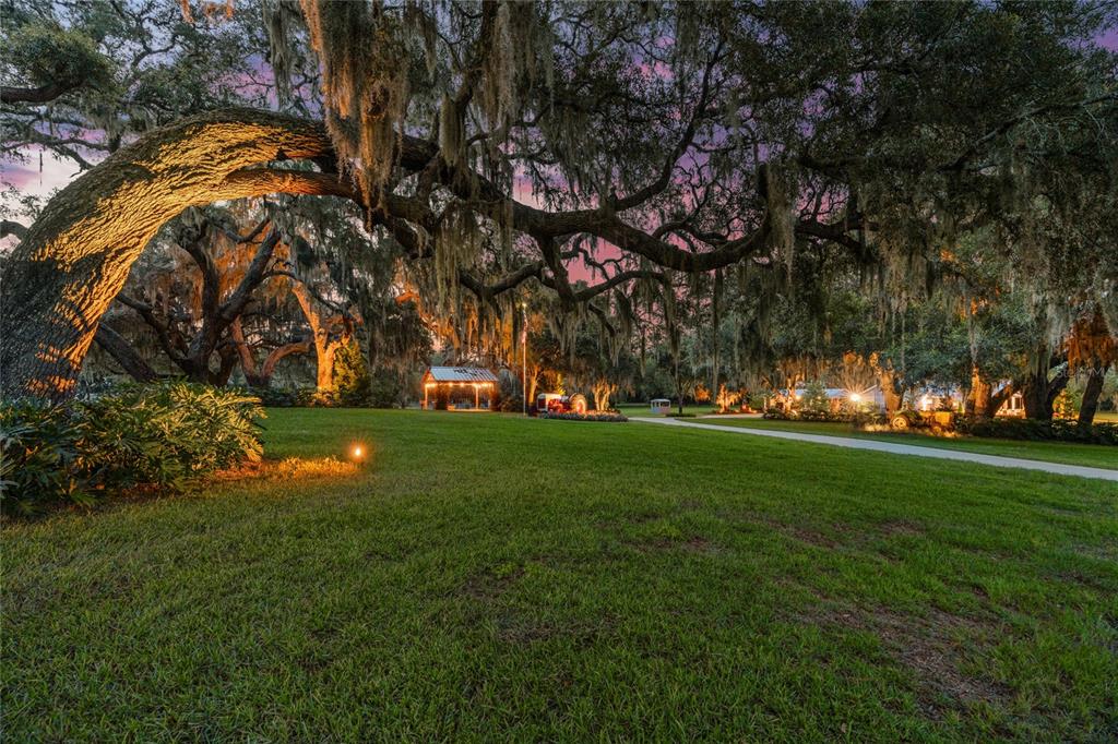 21679 Southwest 106th Lane Road Dunnellon, FL 34431 - Photo 6 of 88 a view of a park