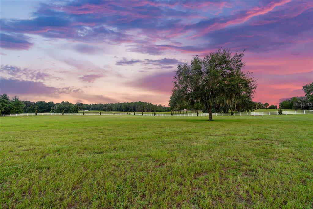 21679 Southwest 106th Lane Road Dunnellon, FL 34431 - Photo 70 of 88 a view of building with outdoor space