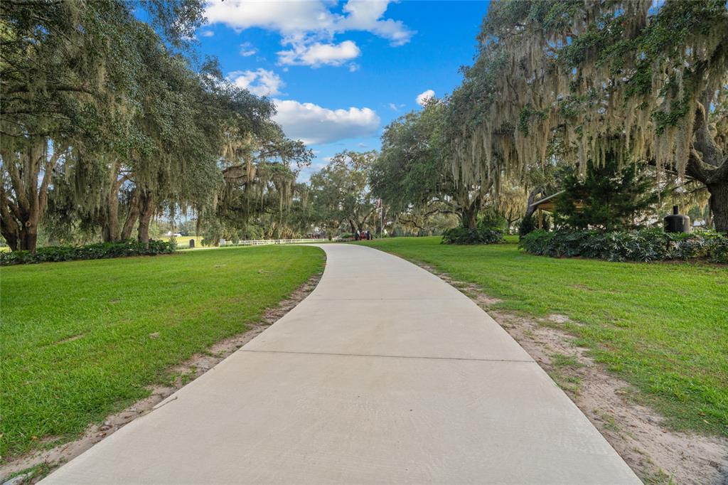 21679 Southwest 106th Lane Road Dunnellon, FL 34431 - Photo 7 of 88 a view of a park with large trees