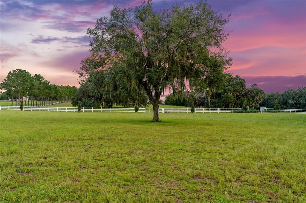 21679 Southwest 106th Lane Road Dunnellon, FL 34431 - Photo 72 of 88 a view of a golf course with a trees