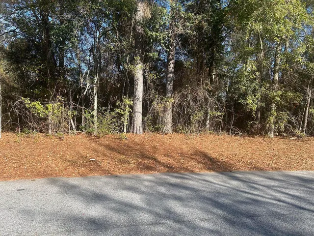$10,788 | 0 Fairway Drive, New Ellenton, SC 29809