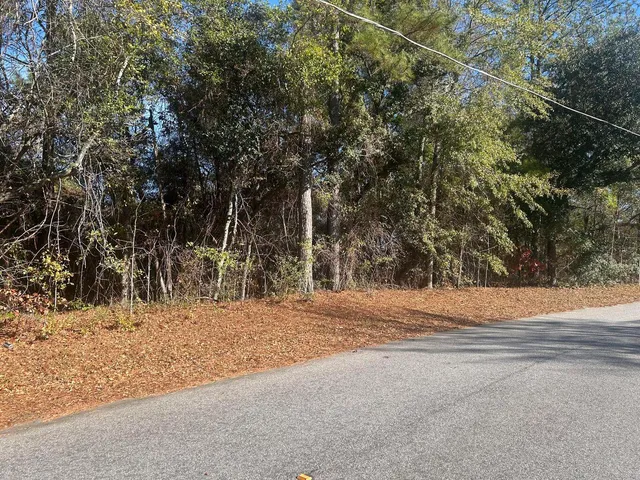 $10,788 | 0 Fairway Drive, New Ellenton, SC 29809