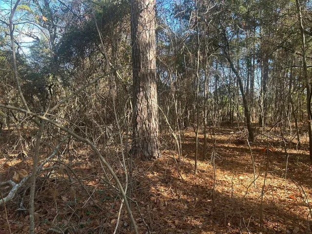 $10,788 | 0 Fairway Drive, New Ellenton, SC 29809