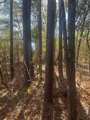 $10,788 | 0 Fairway Drive, New Ellenton, SC 29809