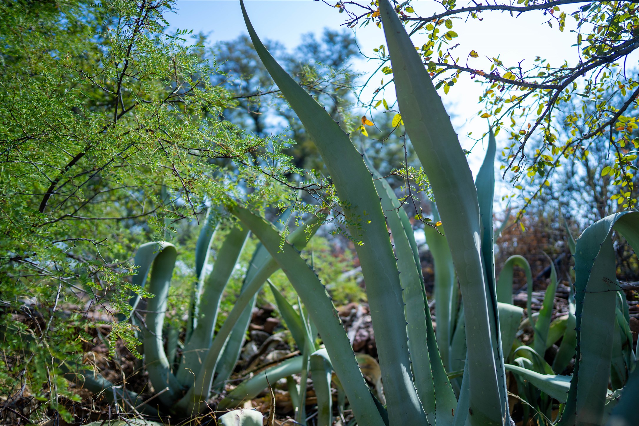 152 West Ranch Road 152 Llano, TX 78643 - Photo 21 of 30